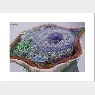 Eukaryotic Cell Posters and Art